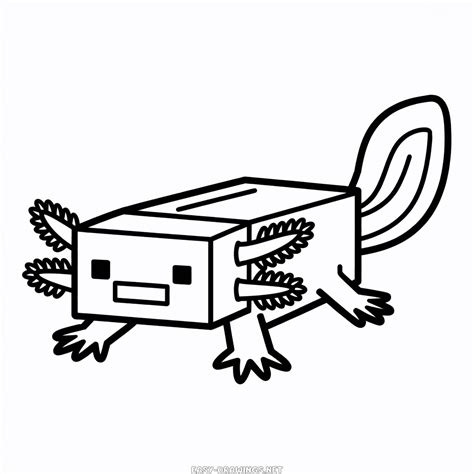 Minecraft Axolotl Easy Drawing | Easy Drawings