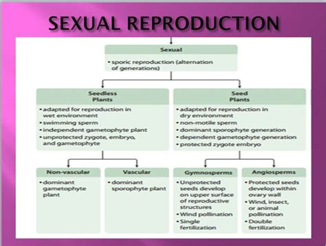 flow chart to explain the process of sexual reproduction in plants ...