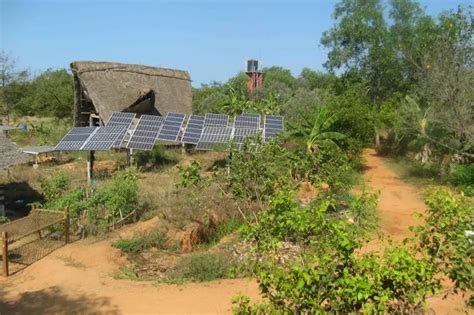 This Israeli Man Left His Job, Came To India And Transformed 70 Acres ...