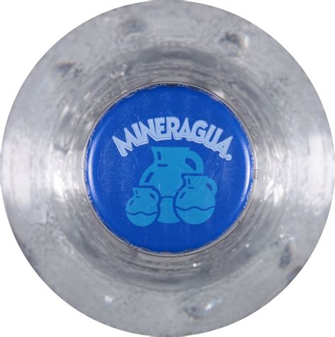 Jarritos Mineragua Sparkling Water 50.72 fl oz 1.5 liter | Shipt