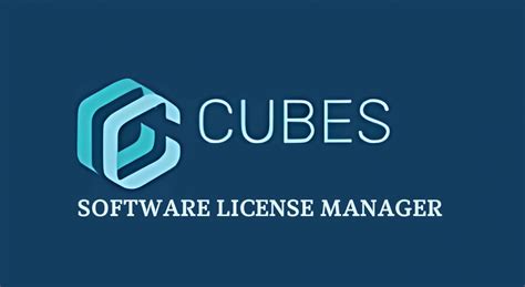 Image result for Software License Manager GUI