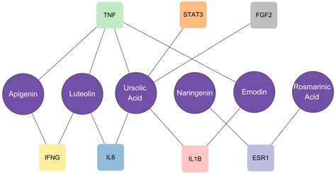Network Pharmacology and Molecular Docking: Exploring the Mechanism of ...