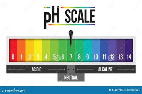 PH Scale. Litmus Paper Color Chart. Vector Illustration | CartoonDealer ...
