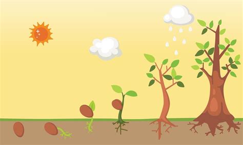 Tree Life Cycle 的图像结果