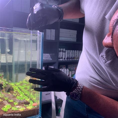 Educational Articles: Learn about Planted Aquarium & Freshwater