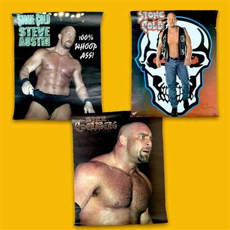 Image result for WWF Classics