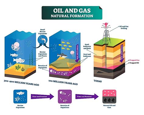 Image result for How Do Fossil Fuels Work