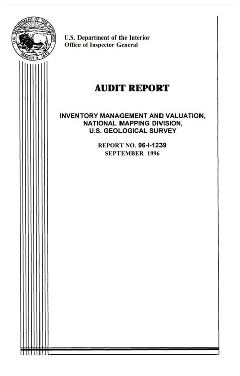 Audit Report Example 的图像结果