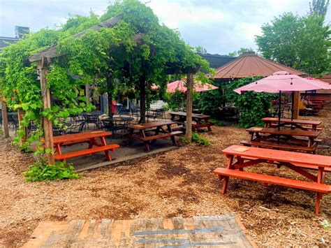 Dani Reese Music @ Forager Brewery, Forager Brewery, Rochester, 31 July ...