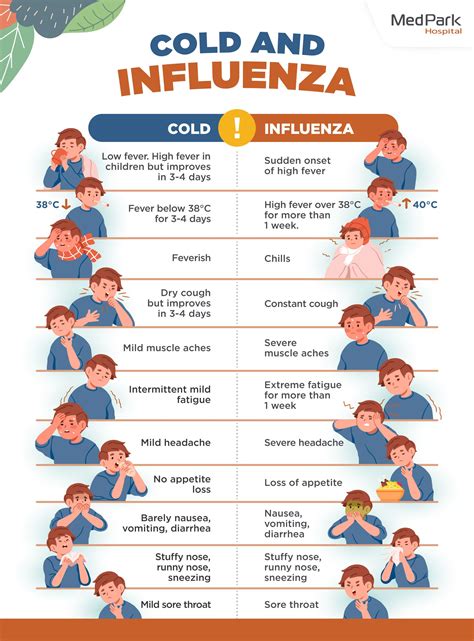 Influenza A: Causes, Symptoms, Treatments, Recovery