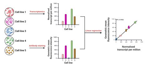 Image result for Validation vs Verification Flow Cytometry