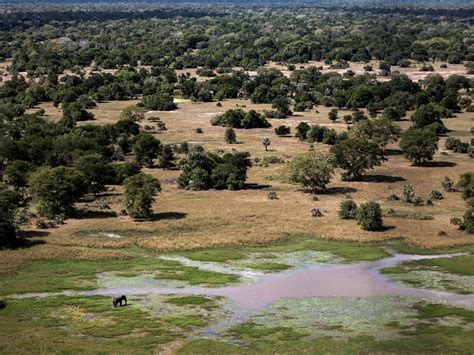 How Gorongosa National Park in Mozambique is recovering after a brutal ...