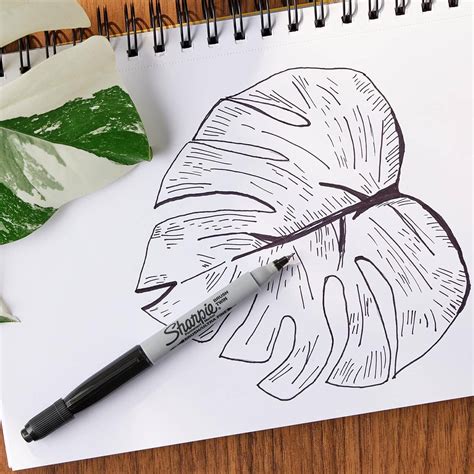 Sharpie Brush Twin Permanent Marker, Brush Tip Marker and Ultra Fine ...