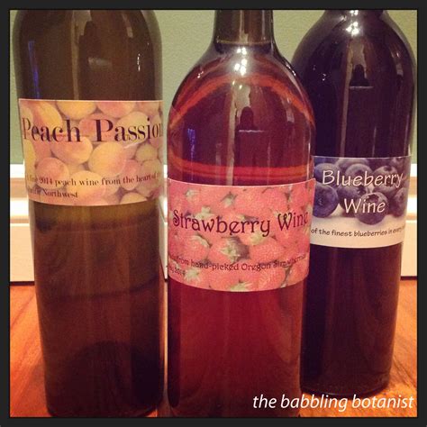 Blueberry Wine Recipe 1 Gallon | Besto Blog