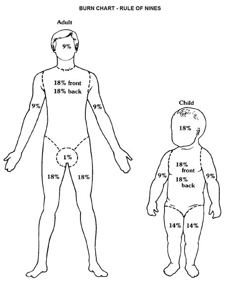 Primer Burn Chart at Landon Artis blog