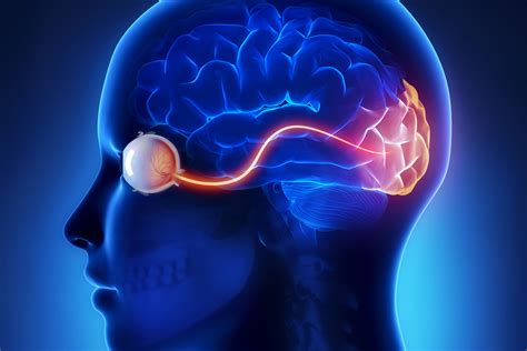 Visual Evoked Potential (VEP) Test for Multiple Sclerosis