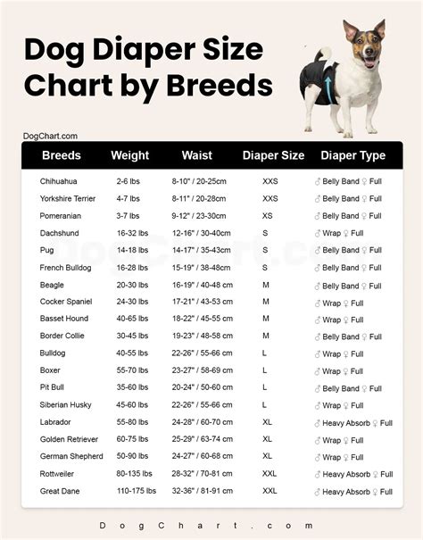 Dog Diaper Size Chart by Breed: Waist Measure (Inches/cm)