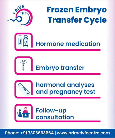 Frozen Embryo Transfer Process Step By Step - Prime IVF