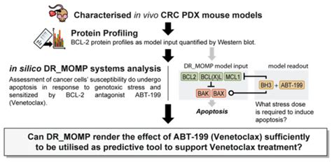 Implementing Systems Modelling and Molecular Imaging to Predict the ...