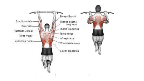 25 Different Types Of Pull Ups and Chin Ups (Variations)