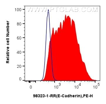 E-cadherin antibody (98323-1-RR) | Proteintech