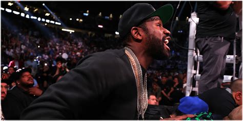 Boxer Player 的图像结果