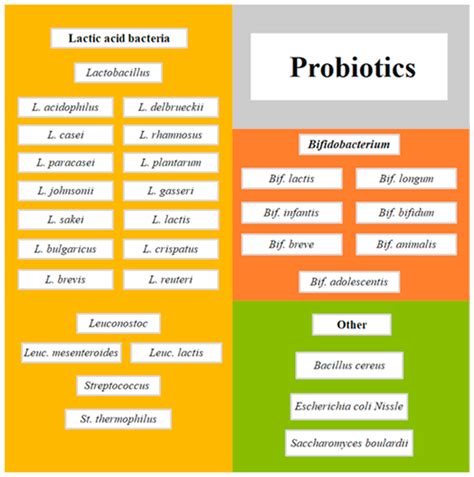 Health Benefits of Consuming Foods with Bacterial Probiotics, Postbiotics, and Their Metabolites ...