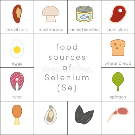 Image result for Selenium Food Sources