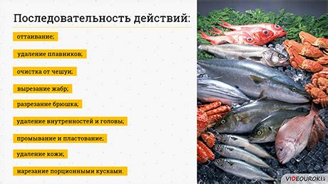 Механическая обработка рыбы