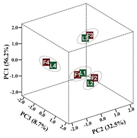 Phenolic Fractions from Vaccinium vitis-idaea L. and Their Antioxidant ...