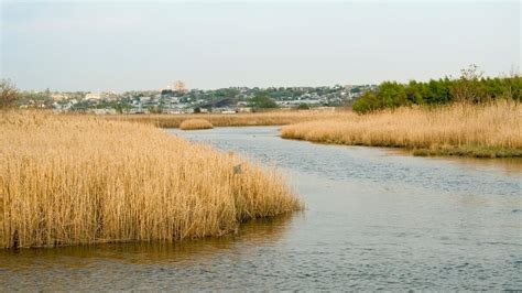 Secaucus Hotels from ₹ 7,036/night | Compare Best Hotels in Secaucus ...