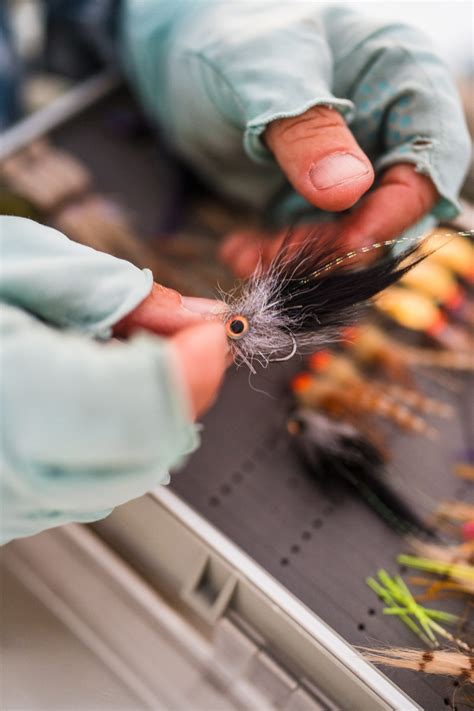 Image result for Redfish Fly Patterns