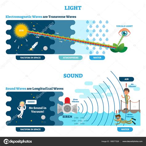Longitudinal Wave Diagram