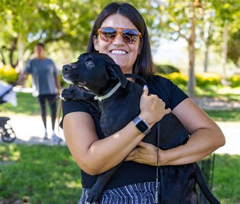 SCVNews.com | Wags All Around, Success at Pet Adoption Day | 07-31-2025