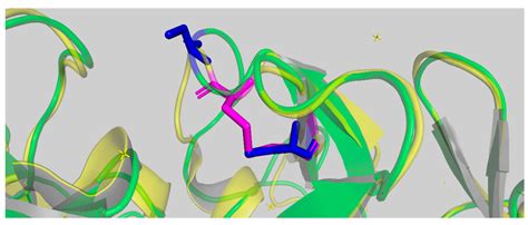 Primary Sequence and Three-Dimensional Structural Comparison between ...