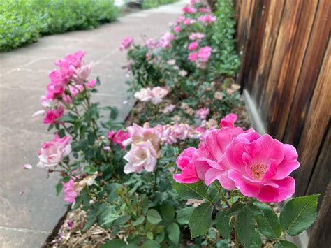 Boulder Guest House (@boulderguesthouse) • Instagram photos and videos