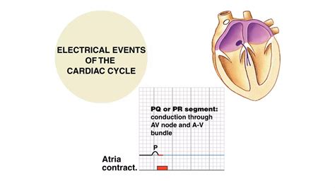 abnormal ECG in normal patients - Dr Vijan.pptx