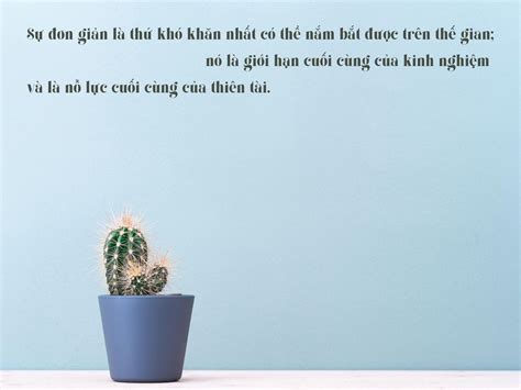 Object Variable Java 的图像结果
