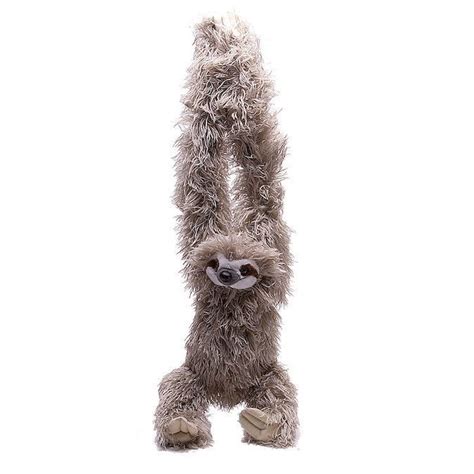 Image result for Hanging Three Toed Sloth