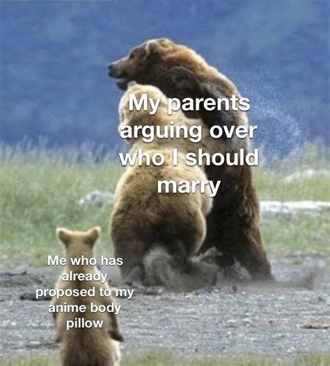 Parents Fighting Meme