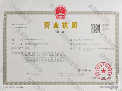 青岛市电子营业执照申领指南（入口+对象+流程）- 本地宝