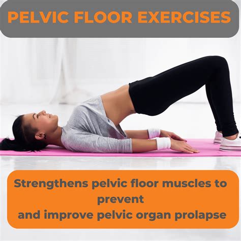 Safe Gym Exercises For Pelvic Prolapse at Karen Spaulding blog