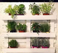 vasi per erbe aromatiche pallet orto verticale fai da te riciclo creativo erbe vasi per erbe aromatiche pallet orto verticale fai da te riciclo creativo erbe