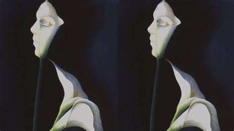 Optical Illusion Personality Test: What You See First Can Reveal If You ...