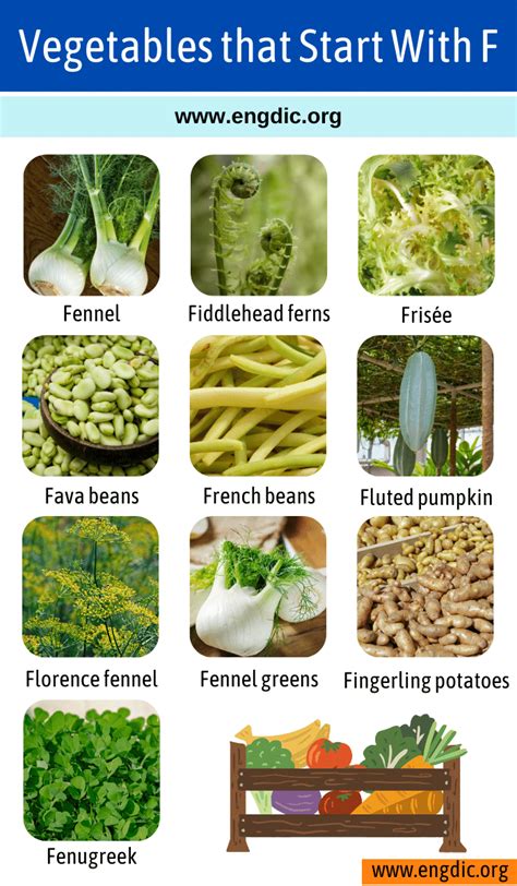 Vegetables And Fruits That Start With F at Alan Fortune blog