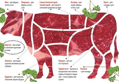Говядина (котлетное мясо) :энергетическая ценность, содержание БЖУ ...