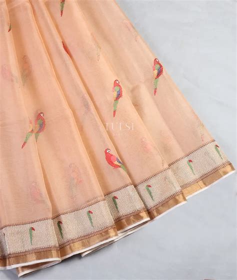 Buy Peach Kora Organza Embroidery Saree T548105