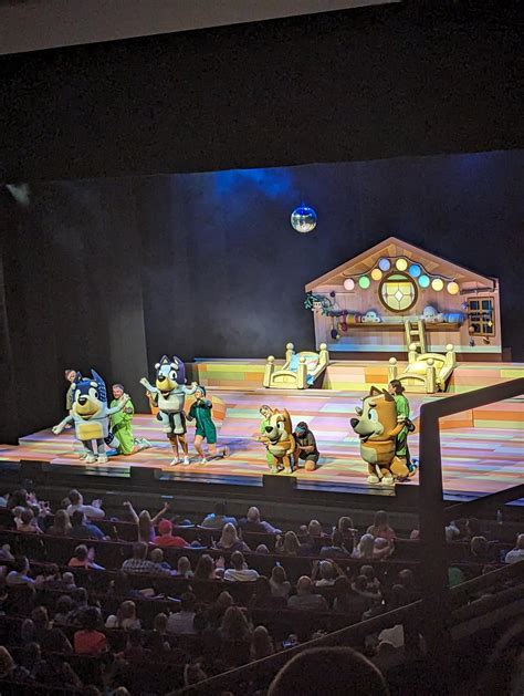 Bluey Live : r/bluey