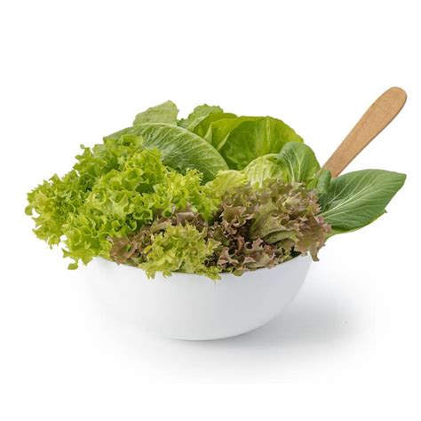 Hydroponic Salad Mix