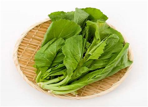 10 Indian Vegetables that You Should Not Miss This Winter